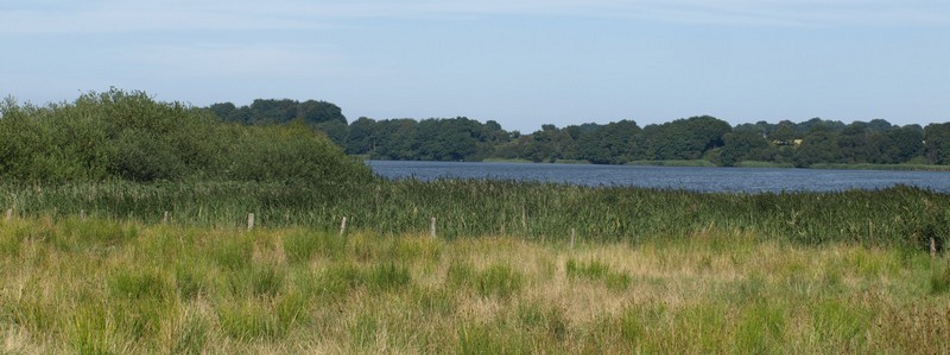 Haithabu Landschaft