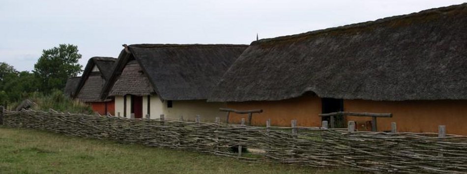 Ribe Langhaus